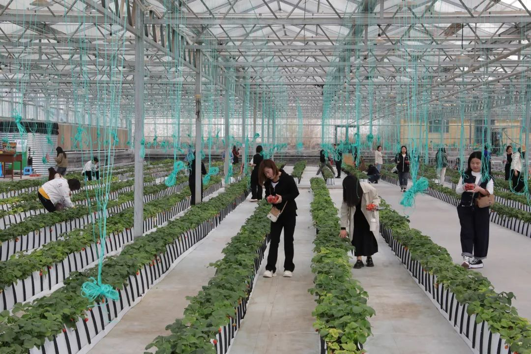 长治市上党区2025年“青马工程”暨青年人才能力提升专题培训班开班(图3)