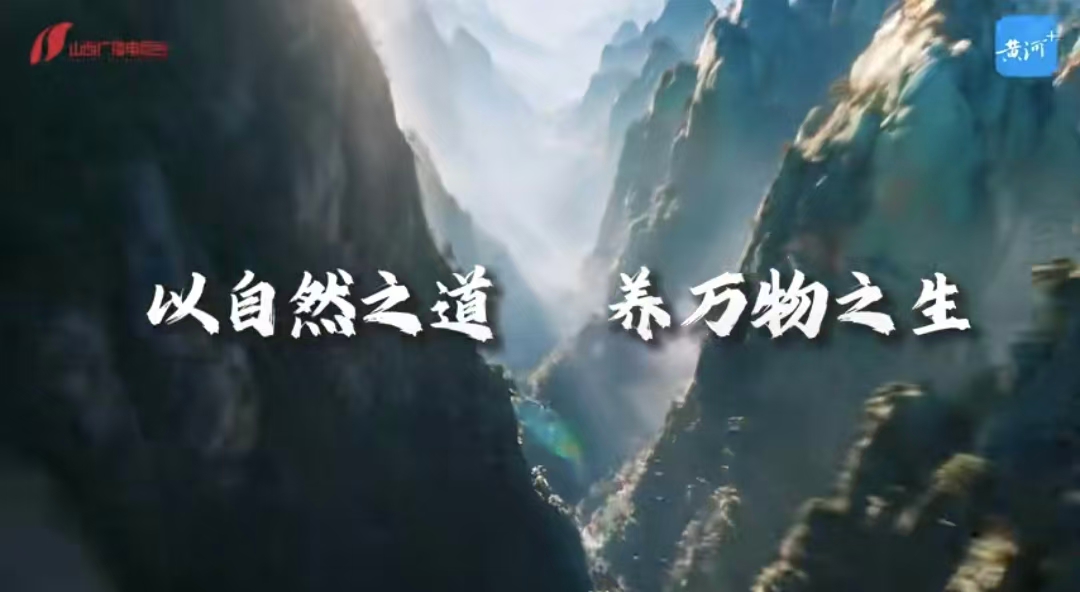 融媒体访谈节目《自然万物》——“褐马鸡的朋友圈”