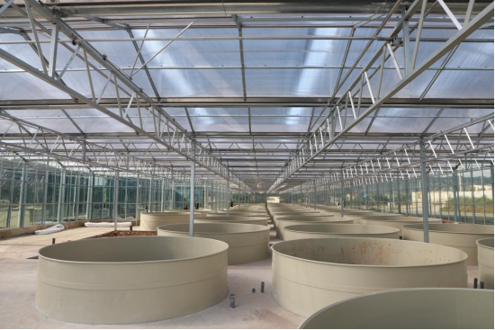 昔阳县数字化智慧生态渔业产业园项目有序推进(图1)
