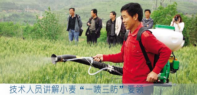 技术人员讲解小麦“一喷三防”要领