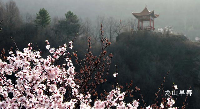 龙山早春