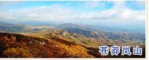 苍莽岚山