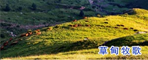 草甸牧歌