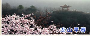 龙山早春