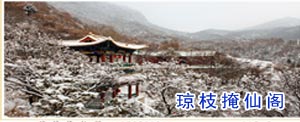 琼枝掩仙阁