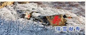瑞雪献寿