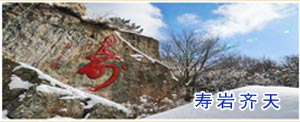 寿岩齐天
