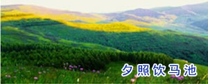 夕照饮马池