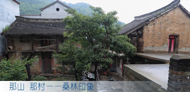 那山 那村——桑林印象