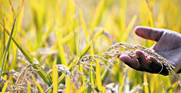 图片新闻:新华网山西频道