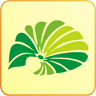 清涟五寨