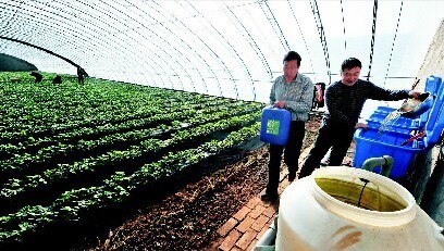 小店区绿茵种植专业合作社种植基地技术人员配置营养液
