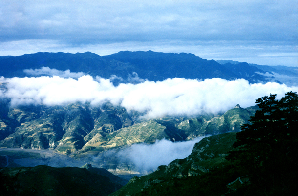 新华网:中国·浑源