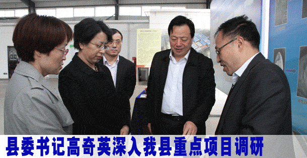 县委书记高奇英深入我县重点项目调研
