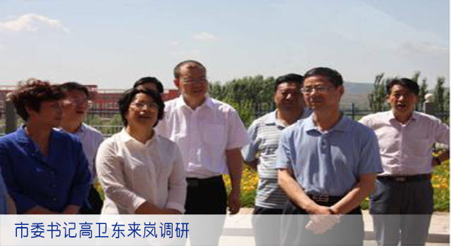 市委书记高卫东来岚调研