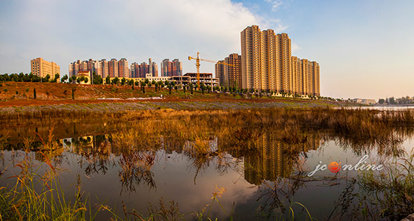 每一条路上，不一样的风景