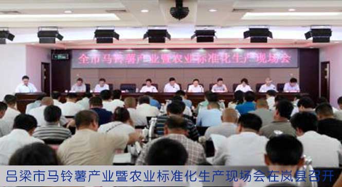 吕梁市马铃薯产业暨农业标准化生产现场会在岚县召开