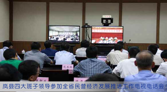 岚县四大班子领导参加全省民营经济发展推进工作电视电话会