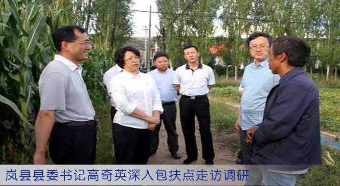 岚县县委书记高奇英深入包扶点走访调研