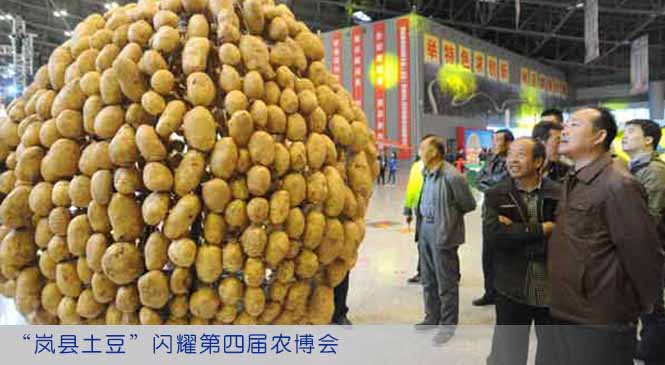 “岚县土豆”闪耀第四届农博会