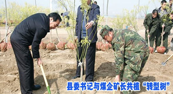 县委书记与煤企矿长共植“转型树”