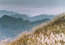 沁源县绵山之巅花坡景区