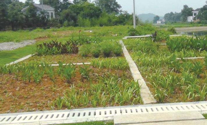 代表委员建议创优农村环境吸引更多“城归”