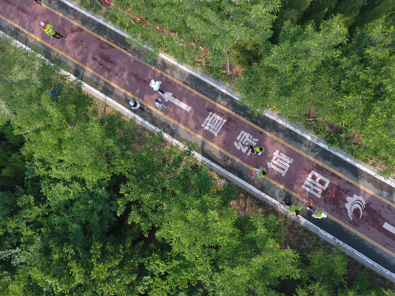 徒步赛道绿意浓