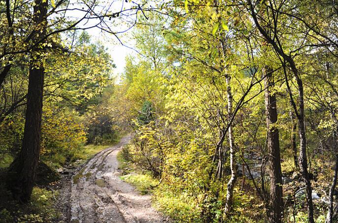 孩子暑期培训班该咋报?山西省消协教你六大招