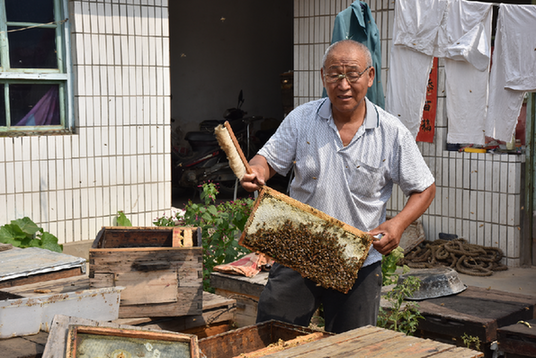 “养蜂大王”做起了“甜蜜的事业”