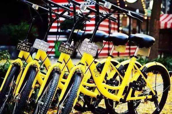 山西芮城:荒山坡上开出太阳花