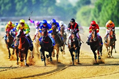 武汉国际赛马节:山西队成全国速度赛马锦标赛