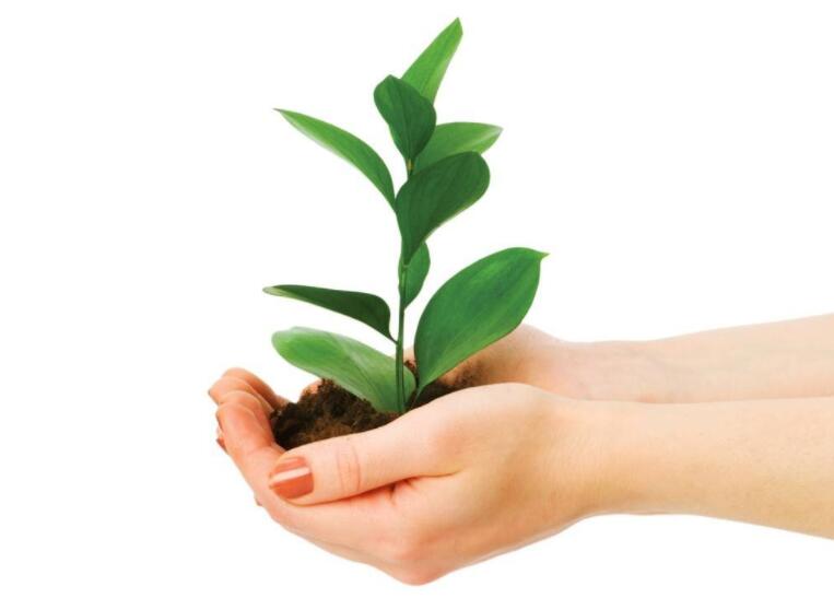 山西:符合条件的残疾人可领两项补贴