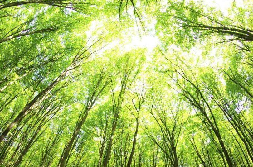 晋中林业生态扶贫成效考核山西排名第一