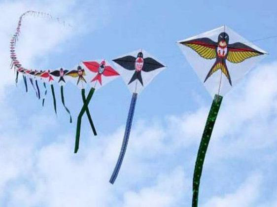 太谷县举办第二届 “星创华夏杯”千人风筝节