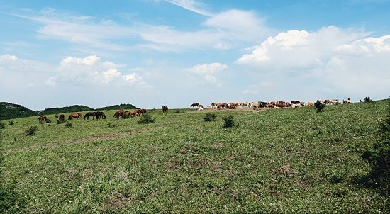 高位推动、规划先行、打造全链条旅游发展产业链。