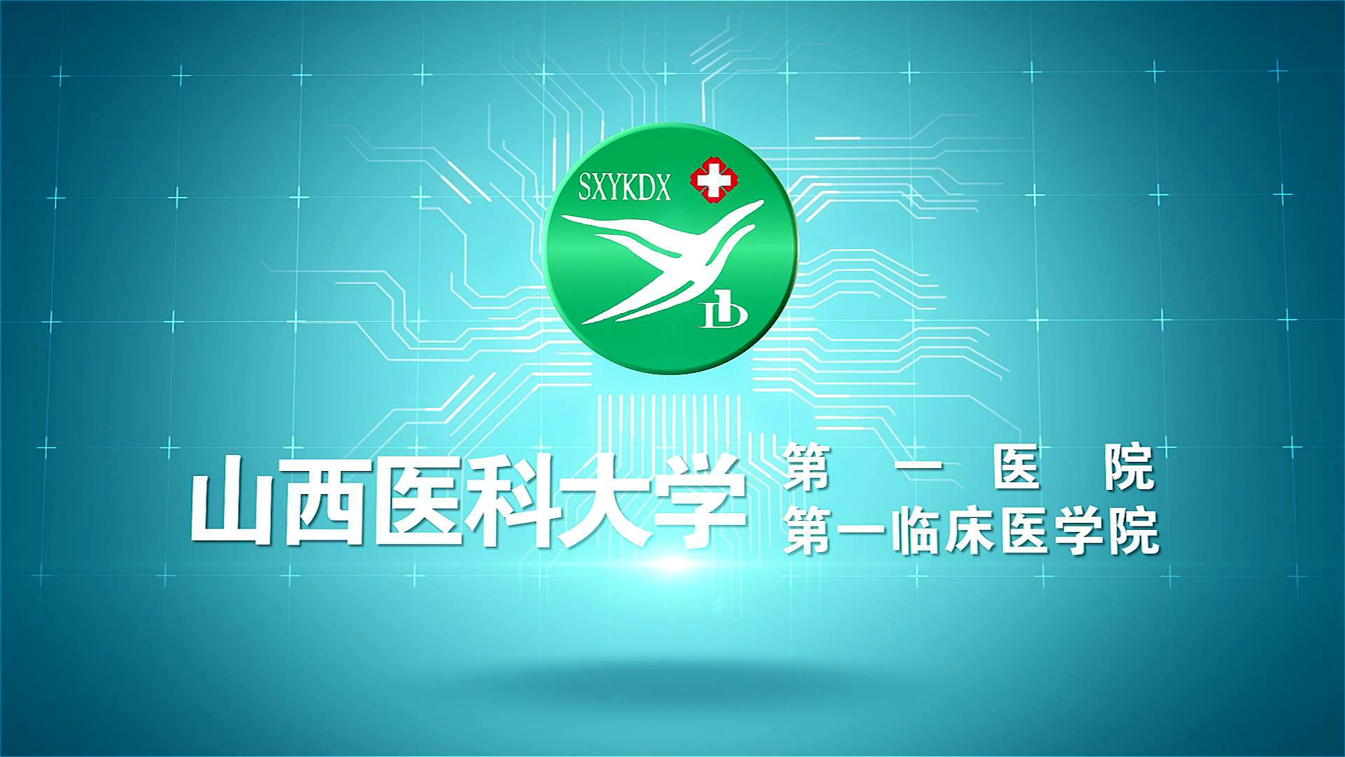 我们要把山西医科大学第一医院打造成为山西省的疑难杂症中心、医学人才培养中心、护理人才培养中心、急救诊疗中心和山西省的医学管理中心，让这五个“中心”齐头并进地发展。