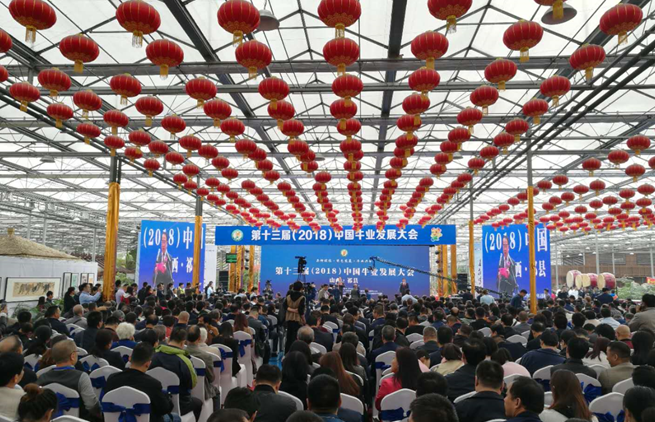 第十三届中国牛业发展大会开幕 “牛人”齐聚祁县话“牛事”