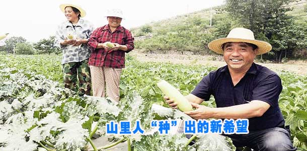 山里人“种”出的新希望