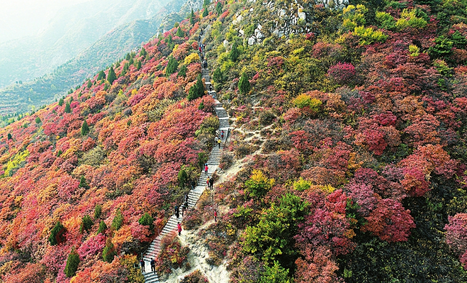 太原秋色分外美丽