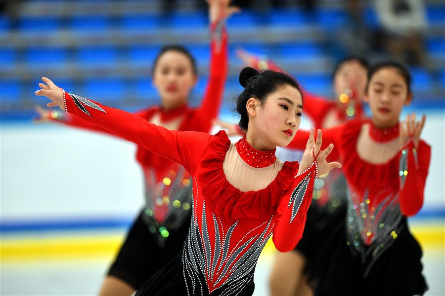 太原队获得花样滑冰队列滑体校组亚军