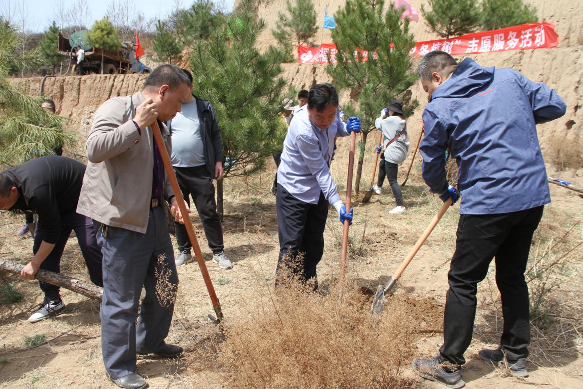 山西省福彩中心开展义务植树活动 提高员工生态保护意识