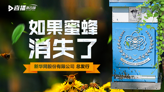 直播联合国丨如果蜜蜂消失了