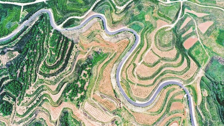 太原北山生态园被授予国家“互联网+全民义务植树”基地称号
