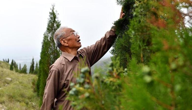 “退休20年,咱就干了这么一件事”