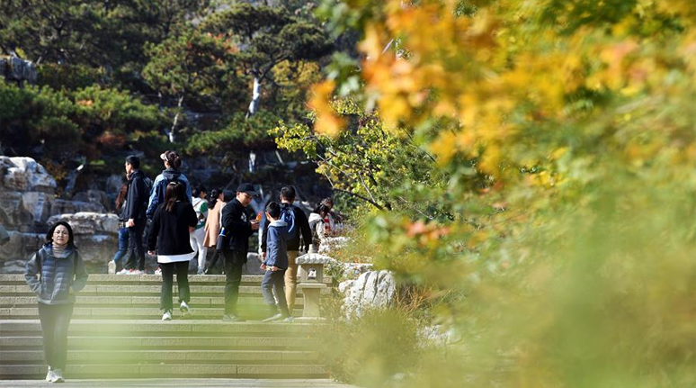 山西太原:太山秋色醉游人