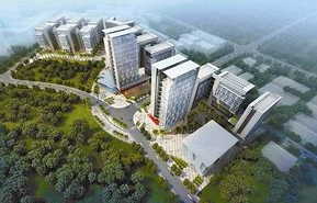 中央地方800项政策密集出台,中小企业如何扛过艰难时刻?