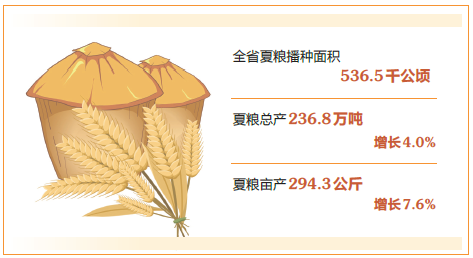 山西夏粮喜获丰收 总产达236.8万吨