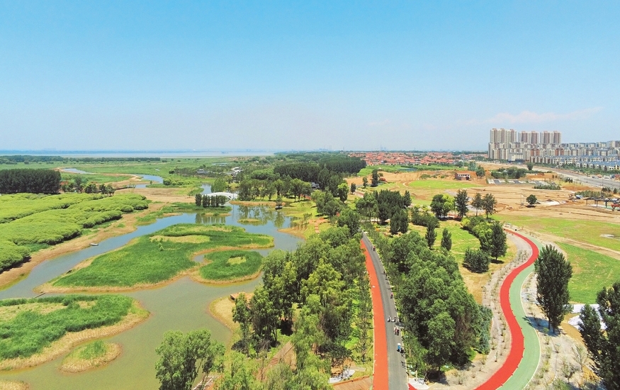漳泽湖湿地公园美景