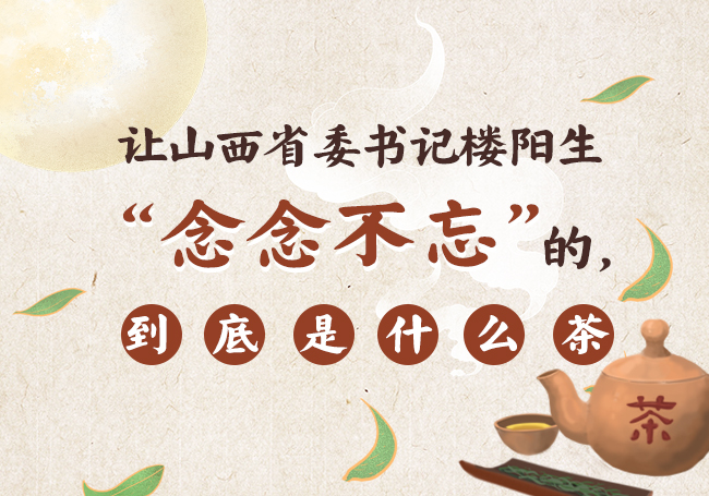 讓山西省委書記樓陽生&ldquo;念念不忘&rdquo;的，到底是什麼茶